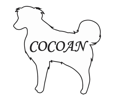 cocoan leather